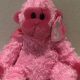 Pinky Beanie Baby: Value, Rarity & Collector Guide | Baby Care 101: Essential Tips for Happy, Healthy Babies