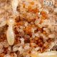 Termite Babies: Protecting Homes From Young Pests! | Baby Care 101: Essential Tips for Happy, Healthy Babies