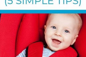 Car Safety: How to Keep Baby Cool in Car Seat + Tips Baby Care 101: Essential Tips for Happy, Healthy Babies Car Safety: How to Keep Baby Cool in Car Seat + Tips | Baby Care 101: Essential Tips for Happy, Healthy Babies