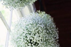 DIY Baby's Breath Balls: Elegant Floral Decor Baby Care 101: Essential Tips for Happy, Healthy Babies DIY Baby's Breath Balls: Elegant Floral Decor | Baby Care 101: Essential Tips for Happy, Healthy Babies