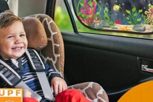 Best Baby Car Window Shade: Sun Protection for Cars! Baby Care 101: Essential Tips for Happy, Healthy Babies Best Baby Car Window Shade: Sun Protection for Cars! | Baby Care 101: Essential Tips for Happy, Healthy Babies