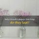 Baby's Breath: How Long Does it Last? (Tips) | Baby Care 101: Essential Tips for Happy, Healthy Babies