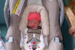 Best Premature Baby Car Seat Guide: Safe Travels! Baby Care 101: Essential Tips for Happy, Healthy Babies Best Premature Baby Car Seat Guide: Safe Travels! | Baby Care 101: Essential Tips for Happy, Healthy Babies