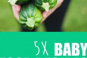 Easy Zucchini Baby Food Combinations: Recipes & Tips Baby Care 101: Essential Tips for Happy, Healthy Babies Easy Zucchini Baby Food Combinations: Recipes & Tips | Baby Care 101: Essential Tips for Happy, Healthy Babies