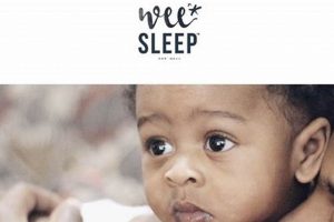 Building Your Baby Mama Brand Empire: A Guide Baby Care 101: Essential Tips for Happy, Healthy Babies Building Your Baby Mama Brand Empire: A Guide | Baby Care 101: Essential Tips for Happy, Healthy Babies