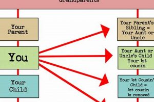 Family Ties: My First Cousin's Baby is... [Relationship] | Baby Care 101: Essential Tips for Happy, Healthy Babies