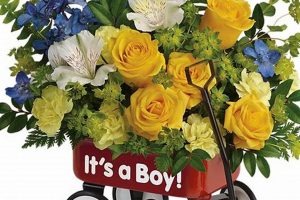 Celebrate New Baby Boy: Flower Delivery Ideas Baby Care 101: Essential Tips for Happy, Healthy Babies Celebrate New Baby Boy: Flower Delivery Ideas | Baby Care 101: Essential Tips for Happy, Healthy Babies