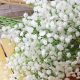 Faux Beauty: Baby's Breath Artificial Flowers Decor | Baby Care 101: Essential Tips for Happy, Healthy Babies