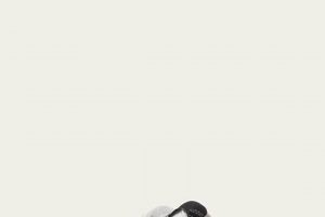 Stylish Baby Boy Golden Goose Outfits for Your Little Guy Baby Care 101: Essential Tips for Happy, Healthy Babies Stylish Baby Boy Golden Goose Outfits for Your Little Guy | Baby Care 101: Essential Tips for Happy, Healthy Babies