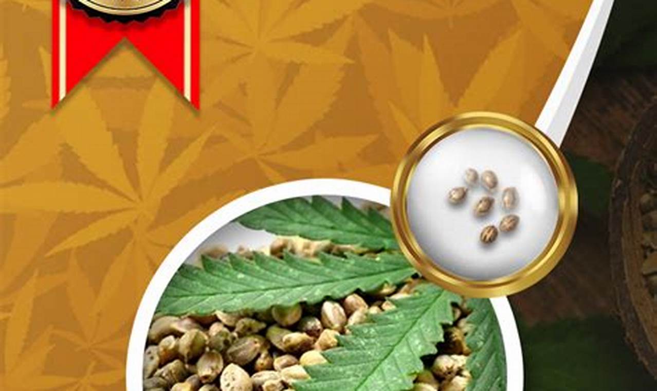 Best Baby Joker Strain: Grow & Effects Guide Baby Care 101: Essential Tips for Happy, Healthy Babies Best Baby Joker Strain: Grow & Effects Guide | Baby Care 101: Essential Tips for Happy, Healthy Babies