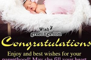 Baby Girl Joy: Congrats on Your Baby Girl! Gifts & Tips Baby Care 101: Essential Tips for Happy, Healthy Babies Baby Girl Joy: Congrats on Your Baby Girl! Gifts & Tips | Baby Care 101: Essential Tips for Happy, Healthy Babies