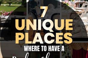 Best Places to Throw a Baby Shower: Venues & Tips Baby Care 101: Essential Tips for Happy, Healthy Babies Best Places to Throw a Baby Shower: Venues & Tips | Baby Care 101: Essential Tips for Happy, Healthy Babies