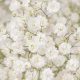 Buy Wholesale Baby's Breath Flowers: Bulk Deals! | Baby Care 101: Essential Tips for Happy, Healthy Babies