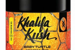 Baby Turtle Strain: Gentle Benefits for Beginners Baby Care 101: Essential Tips for Happy, Healthy Babies Baby Turtle Strain: Gentle Benefits for Beginners | Baby Care 101: Essential Tips for Happy, Healthy Babies