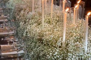 Ultimate Wedding Baby's Breath Guide: Ideas & Decor Baby Care 101: Essential Tips for Happy, Healthy Babies Ultimate Wedding Baby's Breath Guide: Ideas & Decor | Baby Care 101: Essential Tips for Happy, Healthy Babies