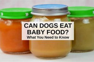 Dog Food Guide: What Baby Food Can Dogs Eat Safely? Baby Care 101: Essential Tips for Happy, Healthy Babies Dog Food Guide: What Baby Food Can Dogs Eat Safely? | Baby Care 101: Essential Tips for Happy, Healthy Babies