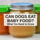 Dog Food Guide: What Baby Food Can Dogs Eat Safely? | Baby Care 101: Essential Tips for Happy, Healthy Babies