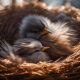 Baby Birds: Why Do They Sleep So Much? (Sleep Guide) | Baby Care 101: Essential Tips for Happy, Healthy Babies