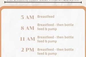 Guide to Triple Feeding Baby: Benefits & Tips Baby Care 101: Essential Tips for Happy, Healthy Babies Guide to Triple Feeding Baby: Benefits & Tips | Baby Care 101: Essential Tips for Happy, Healthy Babies