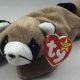 Raccoon Beanie Baby: Values, Rarity & More! | Baby Care 101: Essential Tips for Happy, Healthy Babies