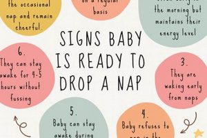 Babies & Naps: When To Switch To One Nap Schedule Baby Care 101: Essential Tips for Happy, Healthy Babies Babies & Naps: When To Switch To One Nap Schedule | Baby Care 101: Essential Tips for Happy, Healthy Babies