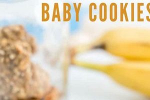 Best Baby Food Cookies Recipe: Easy & Healthy! Baby Care 101: Essential Tips for Happy, Healthy Babies Best Baby Food Cookies Recipe: Easy & Healthy! | Baby Care 101: Essential Tips for Happy, Healthy Babies