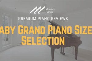 Baby Grand for One: Solo Practice & Intimate Music Baby Care 101: Essential Tips for Happy, Healthy Babies Baby Grand for One: Solo Practice & Intimate Music | Baby Care 101: Essential Tips for Happy, Healthy Babies