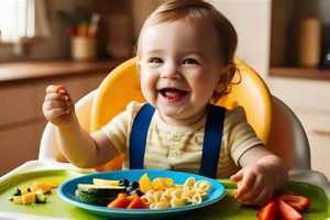 Stephanie's Guide: Baby Food to Toddler Meals Transition Tips Baby Care 101: Essential Tips for Happy, Healthy Babies Stephanie's Guide: Baby Food to Toddler Meals Transition Tips | Baby Care 101: Essential Tips for Happy, Healthy Babies