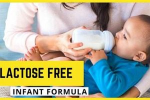 Best Baby Formula for Lactose Intolerance: Guide & FAQs Baby Care 101: Essential Tips for Happy, Healthy Babies Best Baby Formula for Lactose Intolerance: Guide & FAQs | Baby Care 101: Essential Tips for Happy, Healthy Babies