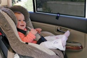 Best Car Shade for Baby Easy & Safe Travel! Baby Care 101: Essential Tips for Happy, Healthy Babies Best Car Shade for Baby Easy & Safe Travel! | Baby Care 101: Essential Tips for Happy, Healthy Babies