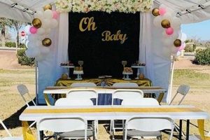 Find Ideal Places for Baby Shower Near You: [City] Guide | Baby Care 101: Essential Tips for Happy, Healthy Babies