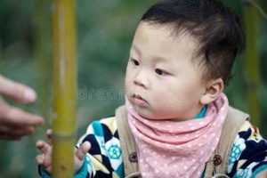 Soft & Safe: Baby Boy Bamboo Clothing Comfort Baby Care 101: Essential Tips for Happy, Healthy Babies Soft & Safe: Baby Boy Bamboo Clothing Comfort | Baby Care 101: Essential Tips for Happy, Healthy Babies