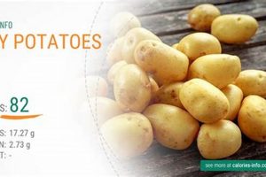 Are Baby Potatoes Calories Low? Tips & Facts! Baby Care 101: Essential Tips for Happy, Healthy Babies Are Baby Potatoes Calories Low? Tips & Facts! | Baby Care 101: Essential Tips for Happy, Healthy Babies
