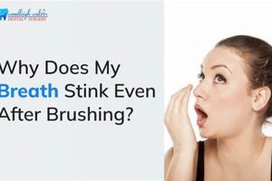 Baby Breath Woes: Why Does My Babies Breath Stink? & Tips Baby Care 101: Essential Tips for Happy, Healthy Babies Baby Breath Woes: Why Does My Babies Breath Stink? & Tips | Baby Care 101: Essential Tips for Happy, Healthy Babies