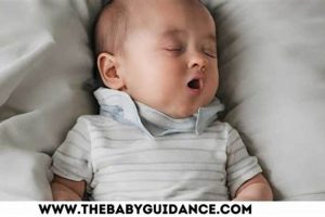 Baby's Breath: How Long Does It Last Without Water? Tips Baby Care 101: Essential Tips for Happy, Healthy Babies Baby's Breath: How Long Does It Last Without Water? Tips | Baby Care 101: Essential Tips for Happy, Healthy Babies