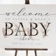 Find Your Perfect Baby Shower Welcome Sign Idea! | Baby Care 101: Essential Tips for Happy, Healthy Babies