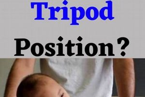 Why Tripod Sitting Baby? Milestones & Tips Baby Care 101: Essential Tips for Happy, Healthy Babies Why Tripod Sitting Baby? Milestones & Tips | Baby Care 101: Essential Tips for Happy, Healthy Babies