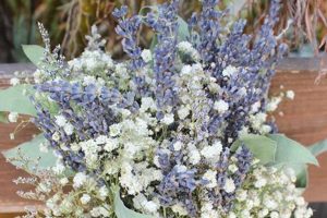 Delicate Breath: Baby's Breath & Lavender Bouquet Ideas Baby Care 101: Essential Tips for Happy, Healthy Babies Delicate Breath: Baby's Breath & Lavender Bouquet Ideas | Baby Care 101: Essential Tips for Happy, Healthy Babies