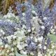 Delicate Breath: Baby's Breath & Lavender Bouquet Ideas | Baby Care 101: Essential Tips for Happy, Healthy Babies