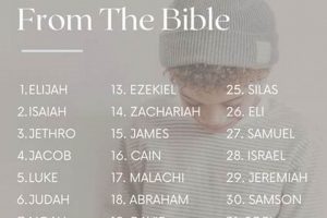 Top Biblical Baby Boy Names {Meanings & Origins} Baby Care 101: Essential Tips for Happy, Healthy Babies Top Biblical Baby Boy Names {Meanings & Origins} | Baby Care 101: Essential Tips for Happy, Healthy Babies