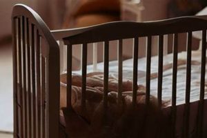 Help! Why Baby Won't Sleep in Bassinet? Tips & Tricks Baby Care 101: Essential Tips for Happy, Healthy Babies Help! Why Baby Won't Sleep in Bassinet? Tips & Tricks | Baby Care 101: Essential Tips for Happy, Healthy Babies