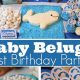 Best Places For Baby's First Birthday Party: Ideas & Locations | Baby Care 101: Essential Tips for Happy, Healthy Babies