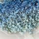 Beyond Bouquets: Baby's Breath & Blue Flowers Decor | Baby Care 101: Essential Tips for Happy, Healthy Babies