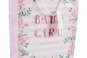 Adorable Baby Girl Gift Bag Ideas for New Moms Baby Care 101: Essential Tips for Happy, Healthy Babies Adorable Baby Girl Gift Bag Ideas for New Moms | Baby Care 101: Essential Tips for Happy, Healthy Babies