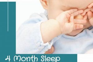 Understanding the 3 Month Baby Sleep Regression: Tips & Solutions Baby Care 101: Essential Tips for Happy, Healthy Babies Understanding the 3 Month Baby Sleep Regression: Tips & Solutions | Baby Care 101: Essential Tips for Happy, Healthy Babies
