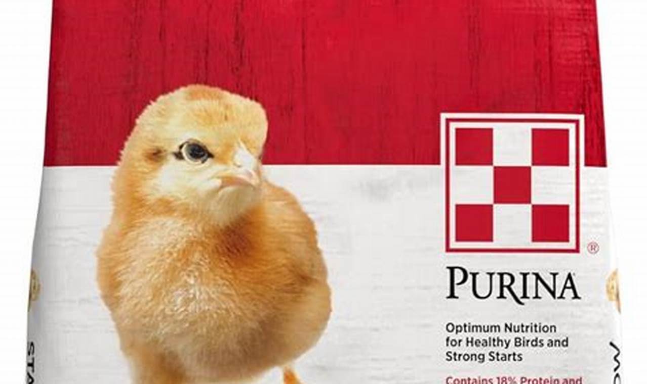 Best Baby Chick Food: Healthy Chicks Start Here! Baby Care 101: Essential Tips for Happy, Healthy Babies Best Baby Chick Food: Healthy Chicks Start Here! | Baby Care 101: Essential Tips for Happy, Healthy Babies