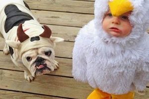 Adorable & Spooky: Dog and Baby Halloween Costumes Ideas Baby Care 101: Essential Tips for Happy, Healthy Babies Adorable & Spooky: Dog and Baby Halloween Costumes Ideas | Baby Care 101: Essential Tips for Happy, Healthy Babies
