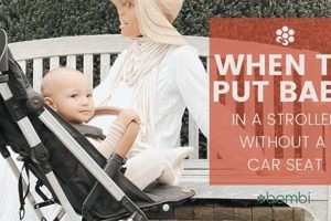 Car Seat to Stroller: When Can Baby Ride Free? Baby Care 101: Essential Tips for Happy, Healthy Babies Car Seat to Stroller: When Can Baby Ride Free? | Baby Care 101: Essential Tips for Happy, Healthy Babies