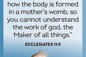 Best Bible Verse for New Baby: Blessings & Guidance Baby Care 101: Essential Tips for Happy, Healthy Babies Best Bible Verse for New Baby: Blessings & Guidance | Baby Care 101: Essential Tips for Happy, Healthy Babies