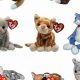Your Guide: Ty Beanie Babies Cat List Values &amp; More | Baby Care 101: Essential Tips for Happy, Healthy Babies